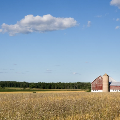 FCC Seeks Reforms to Rural Health Care Program